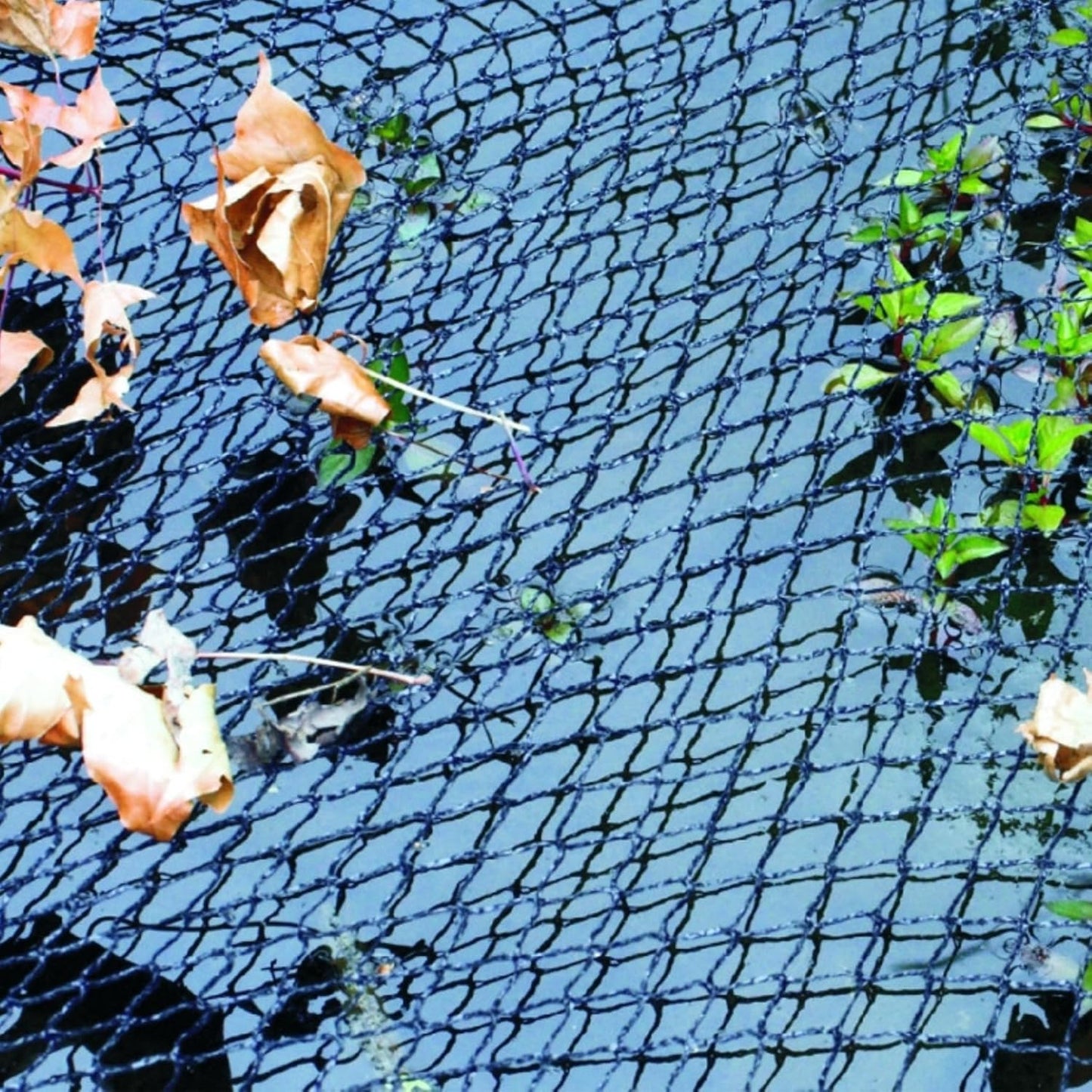 Teichabdecknetz 6 x 3 m, 6 x 3 m