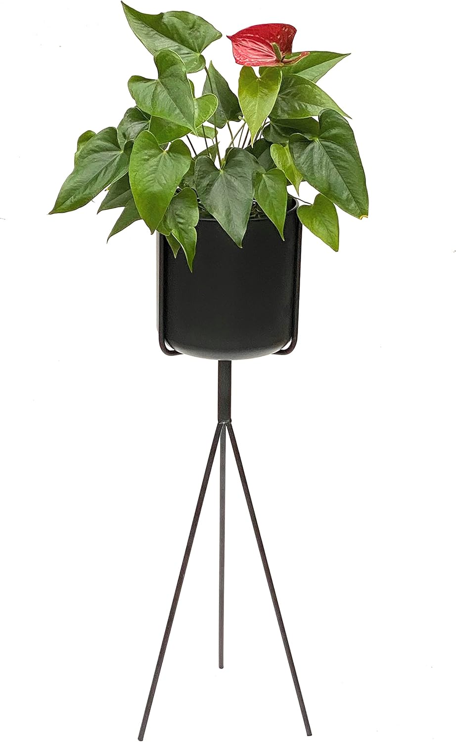 Moderner Blumenständer mit Topf