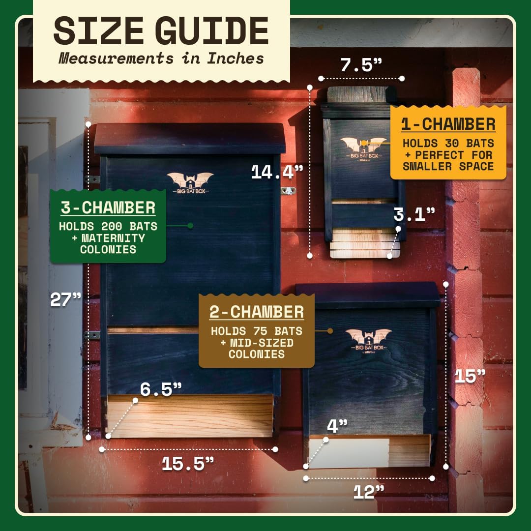Fledermauskasten für den Aussenbereich, 1 Chamber black