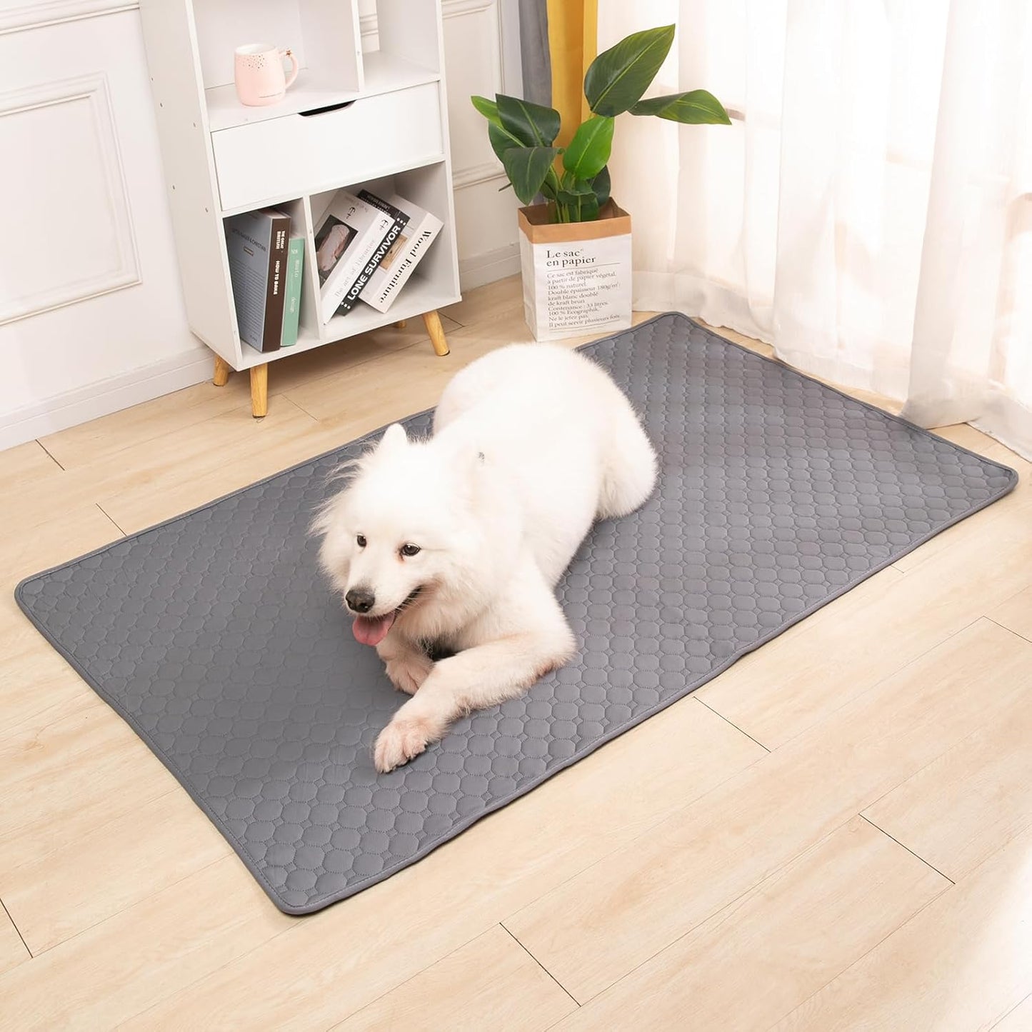 2er-Set Trainingsunterlagen für Haustiere, Grau 70x100cm