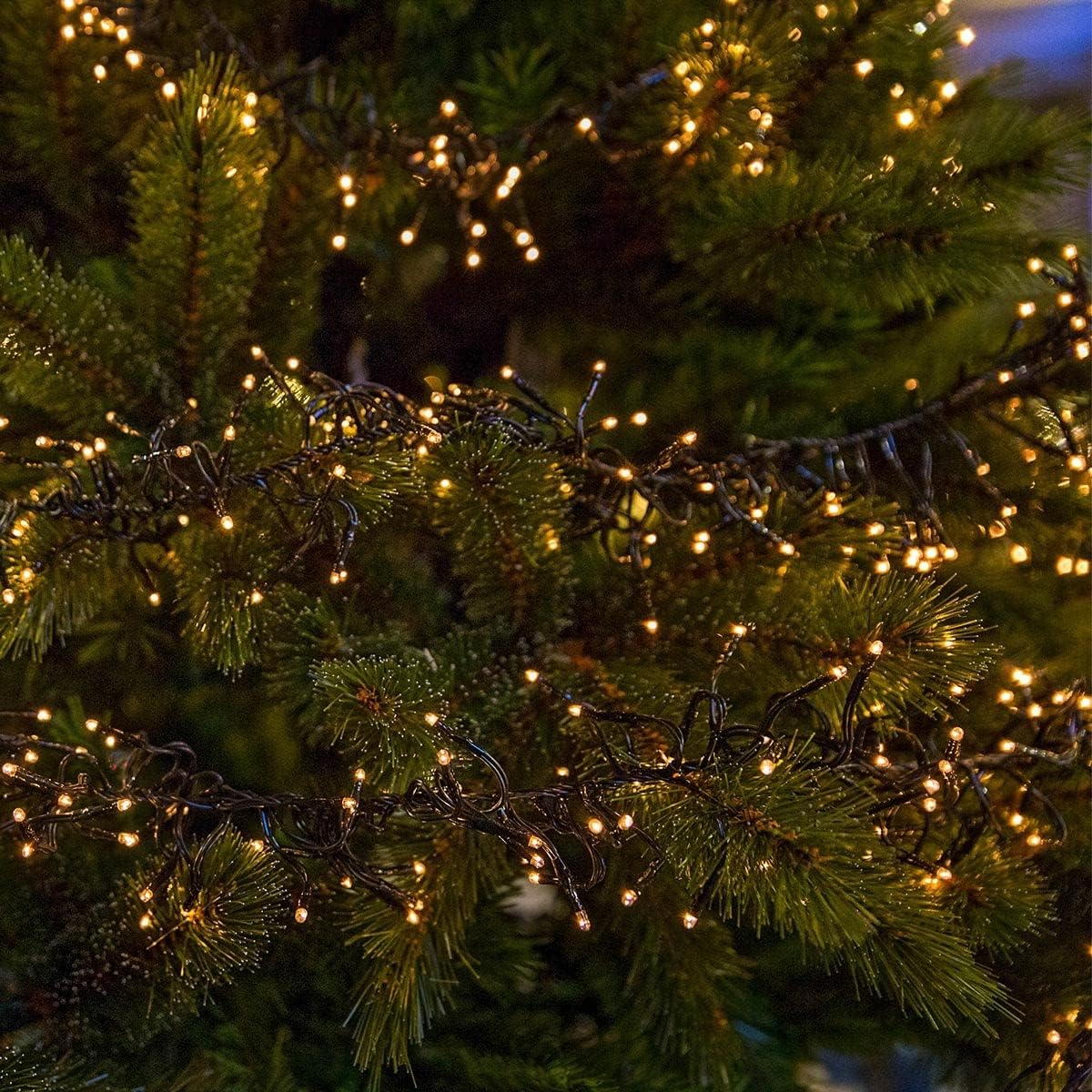 LED Büschellichterkette, 576 LEDs, 4,2 m - 576 LEDs