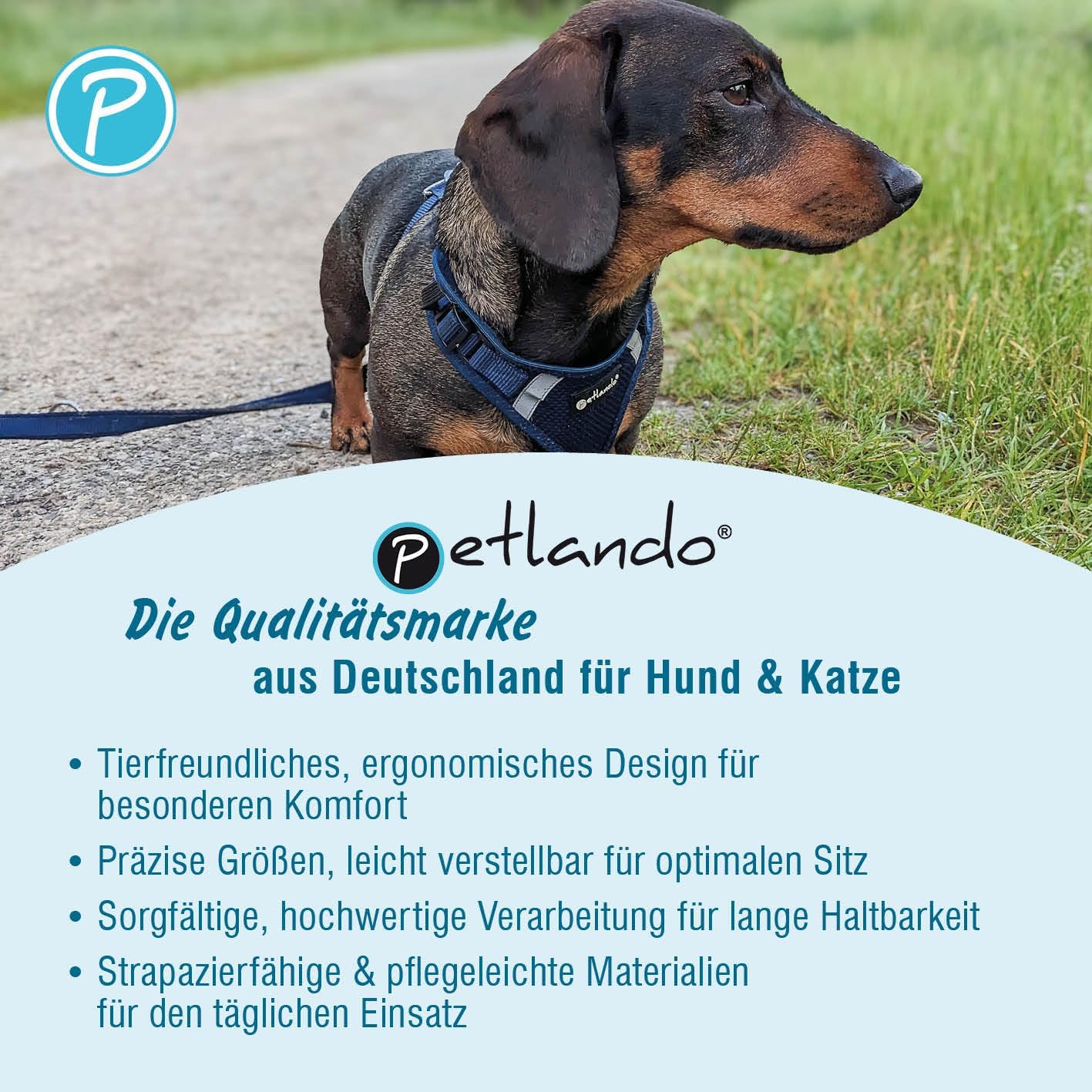 Hundegeschirr Mesh Vest, Schwarz XL