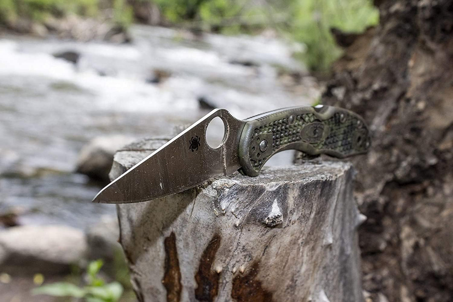Delica 4
