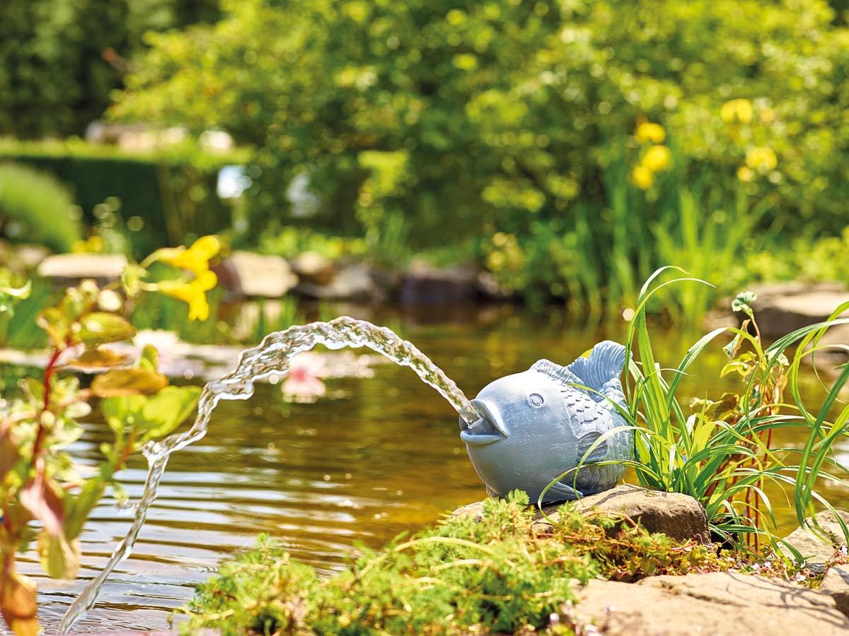 Wasserspeier Fisch, Grau