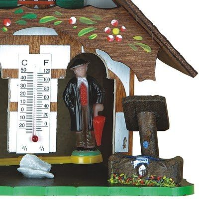 Wetterhaus Schwarzwald TU 817