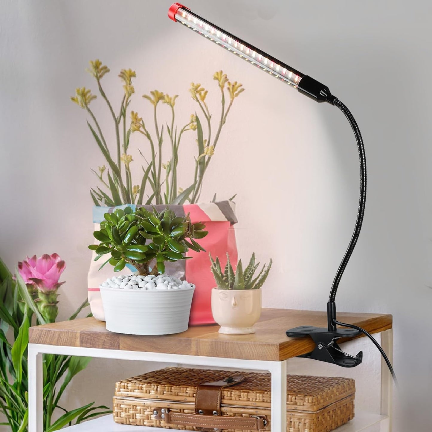 2er-Set Vollspektrum Pflanzenlampe mit Timer, Clip-1Head-9W(2Pack)