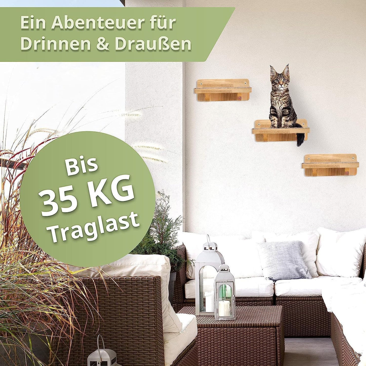 Katzen Kletterwand-Set, Katzentreppen XL Massivholz
