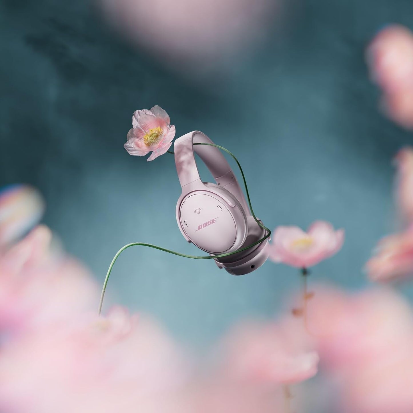 QuietComfort, Blütenrosa