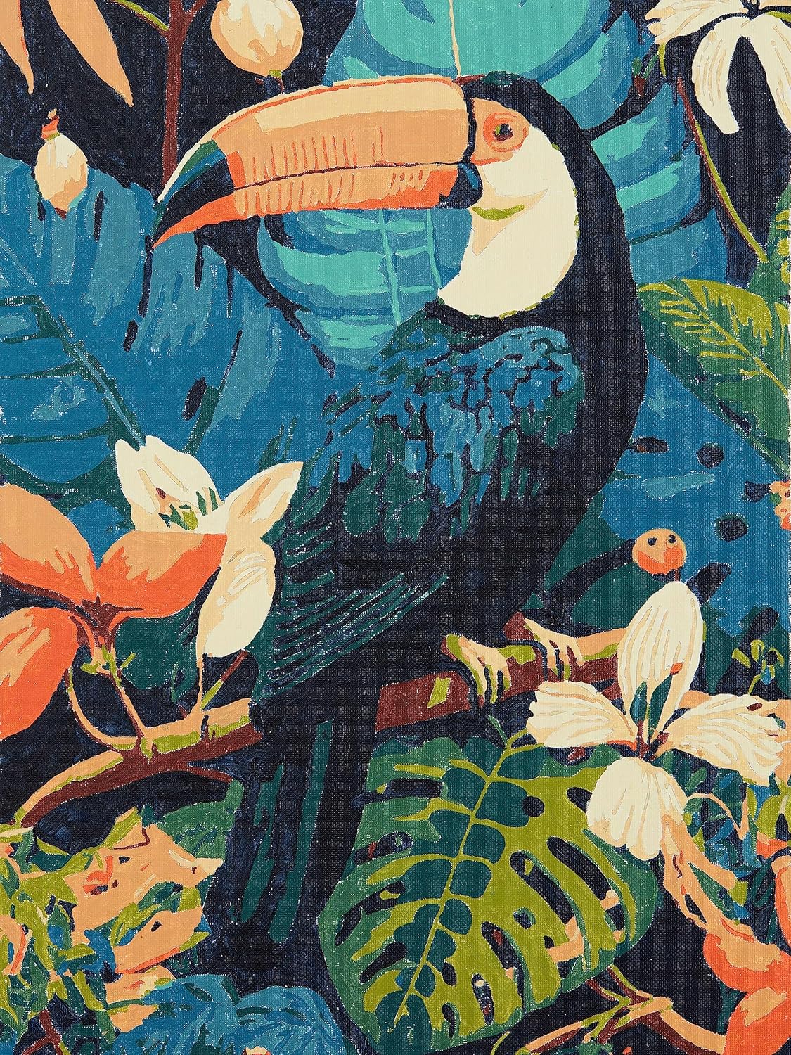 Toucan Time Malen-nach-Zahlen Kit für Erwachsene, Toucan Time