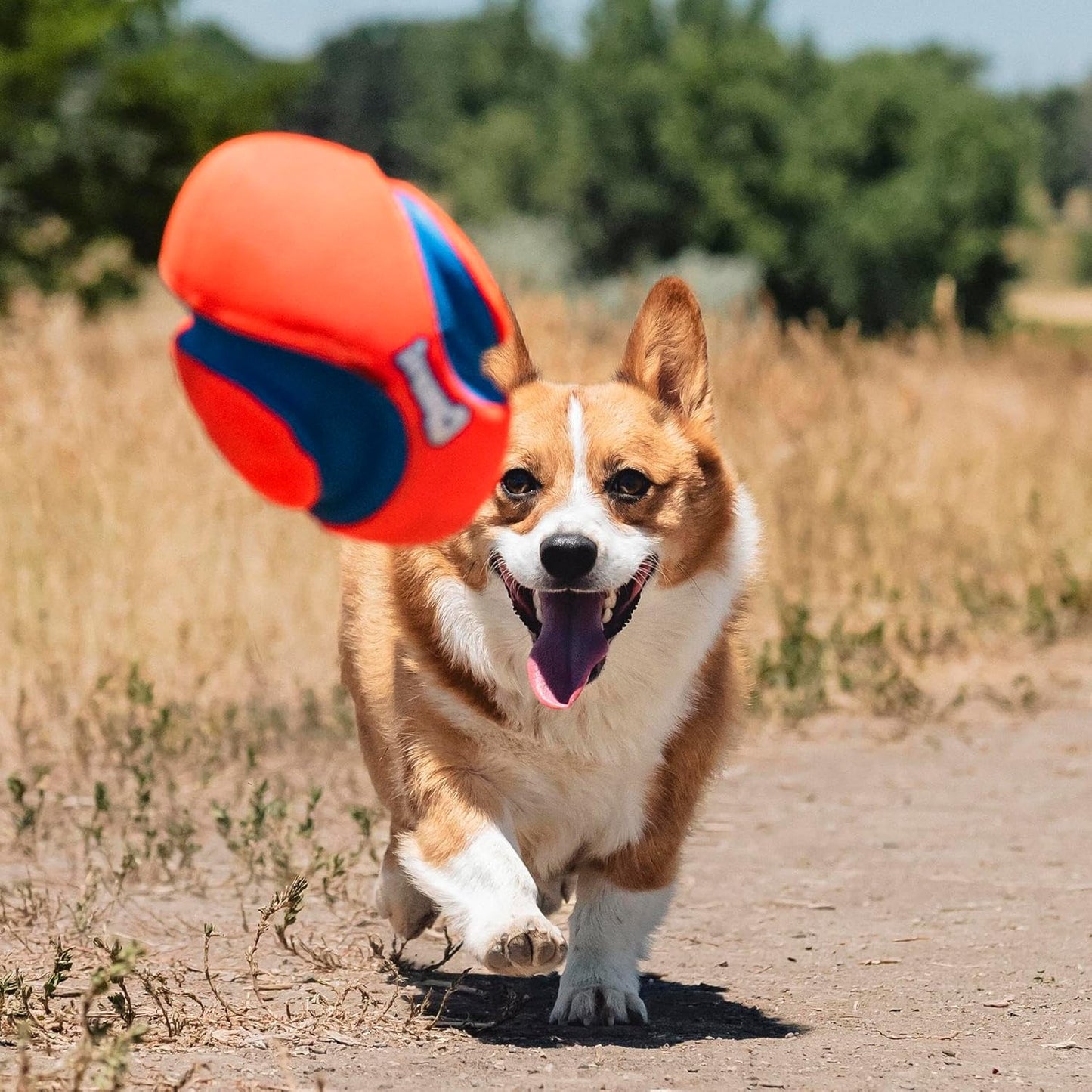 Fumble Fetch Hundespielzeug, orange / blau Small