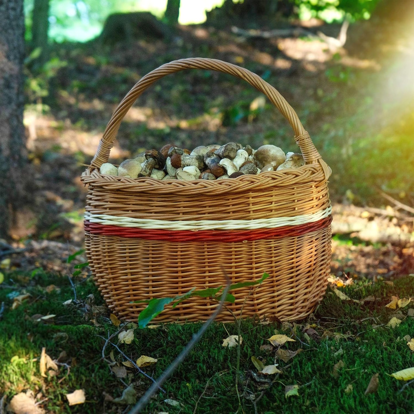 Weidenkorb mit Henkelgriff für Pilze und Einkäufe, 44x26x41cm Mix