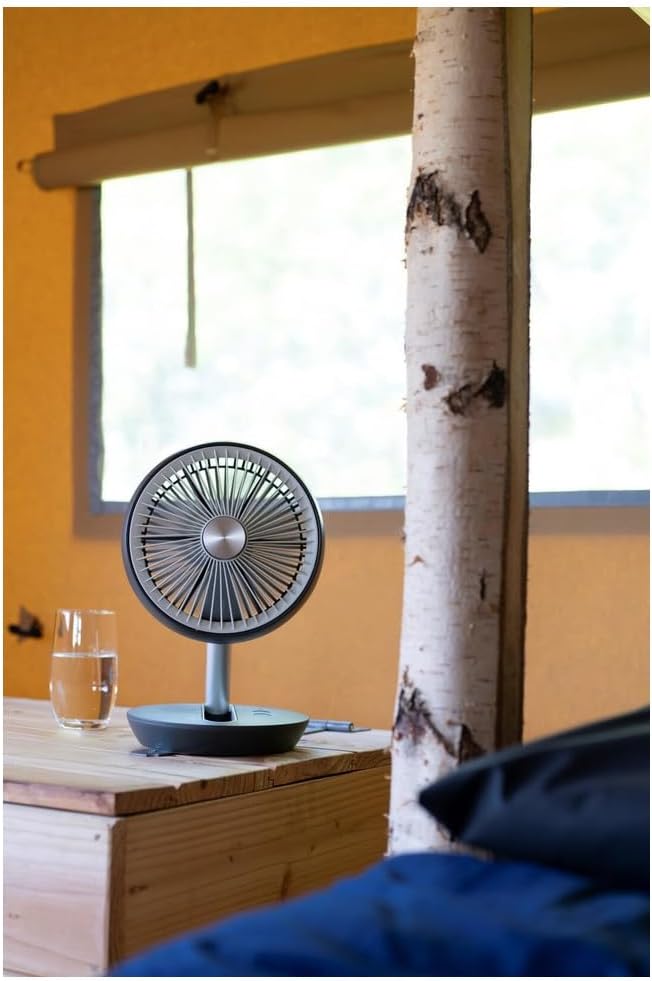 Tischventilator
