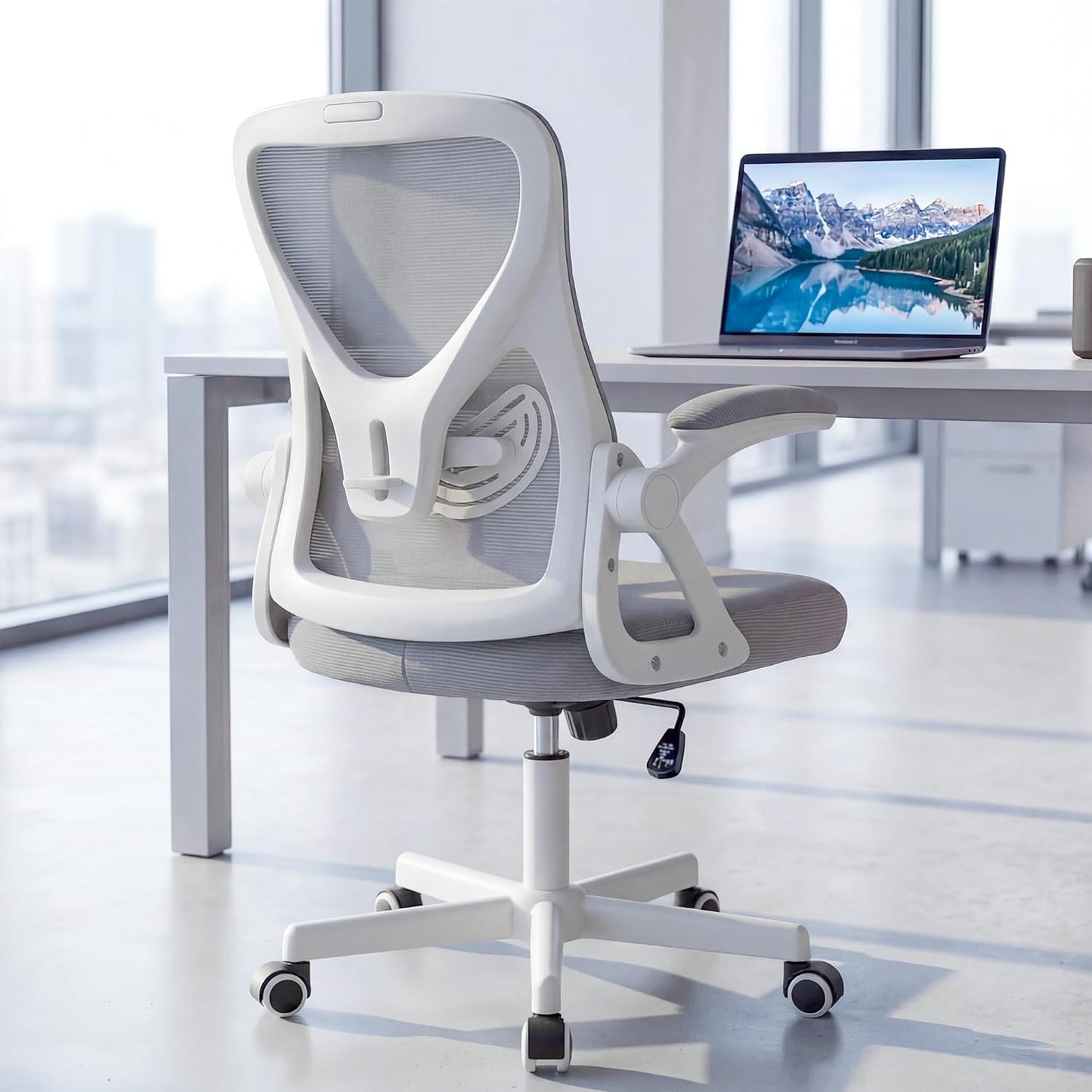 Ergonomischer Bürostuhl, Grauweiss-kopfloses Kissen