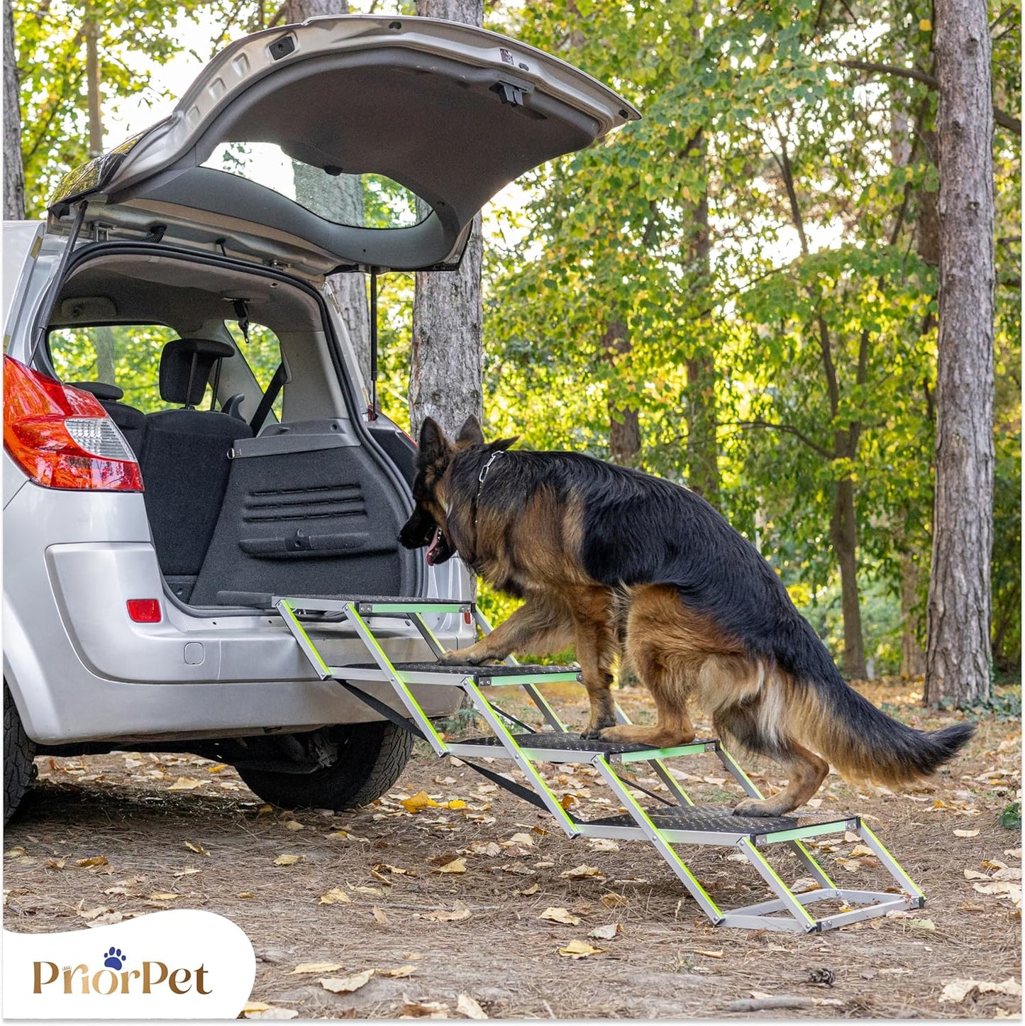 Klappbare Hundetreppe, 4 Wide