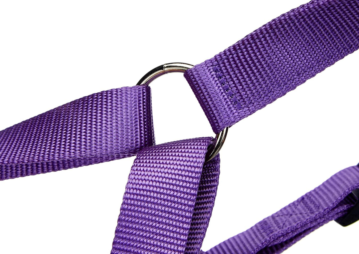 Hundegeschirr Classic, lila Länge 70-90 cm; Breite 25 mm