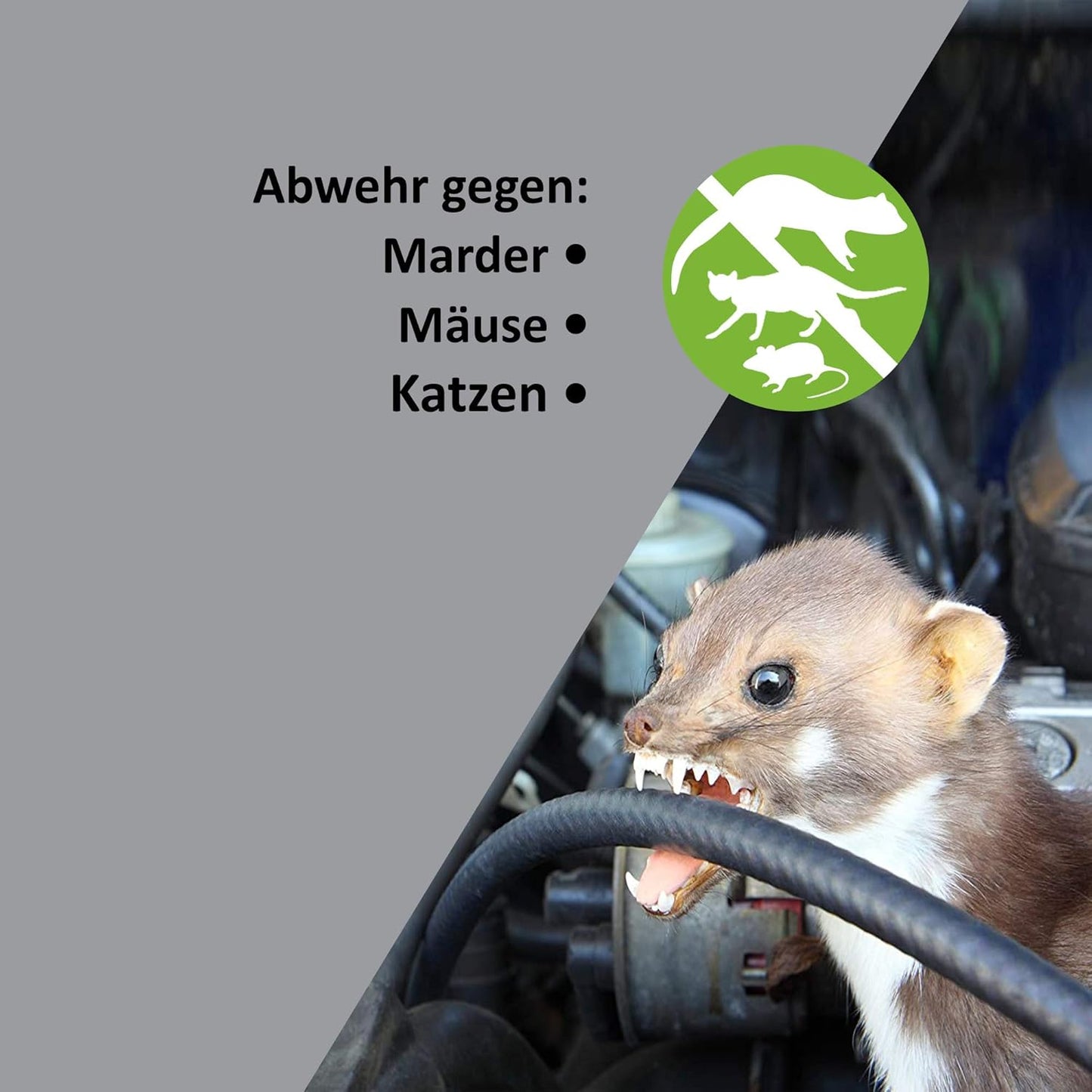 Marder-Mäuse-Schreck