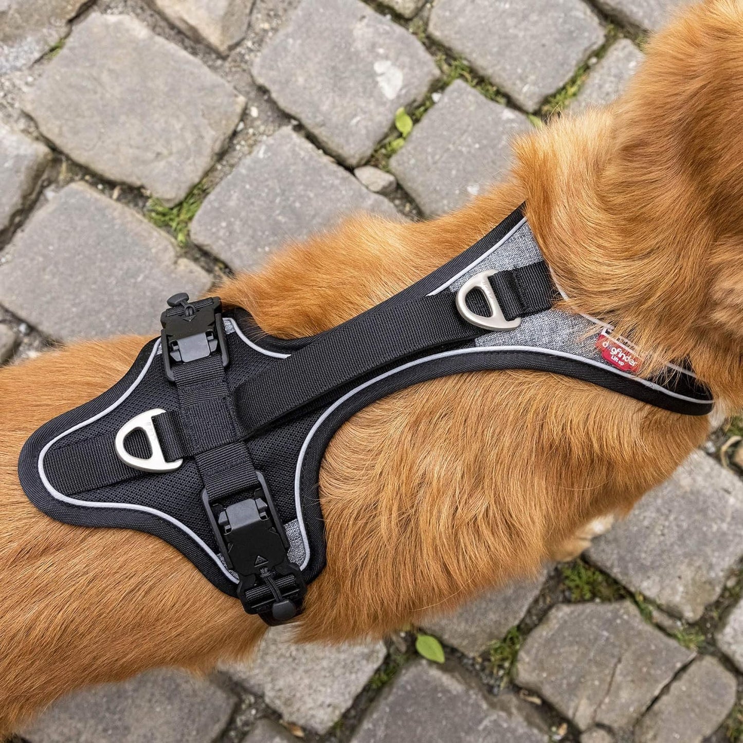 Geschirr Magnetic Belka Comfort, XL (1er Pack)