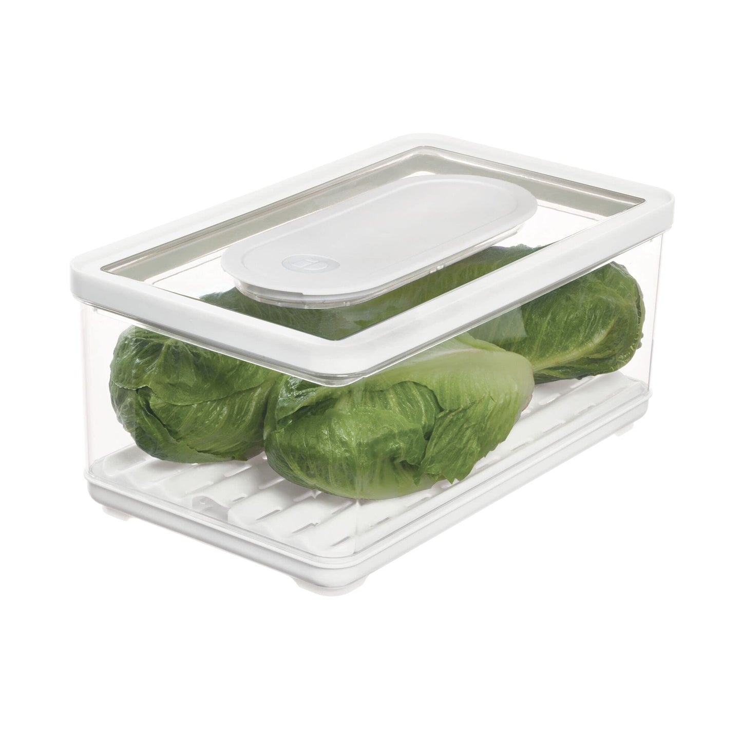 Aufbewahrungsboxen, 31.75/19.05/14.22 cm, Transparent/Weiss/Grün