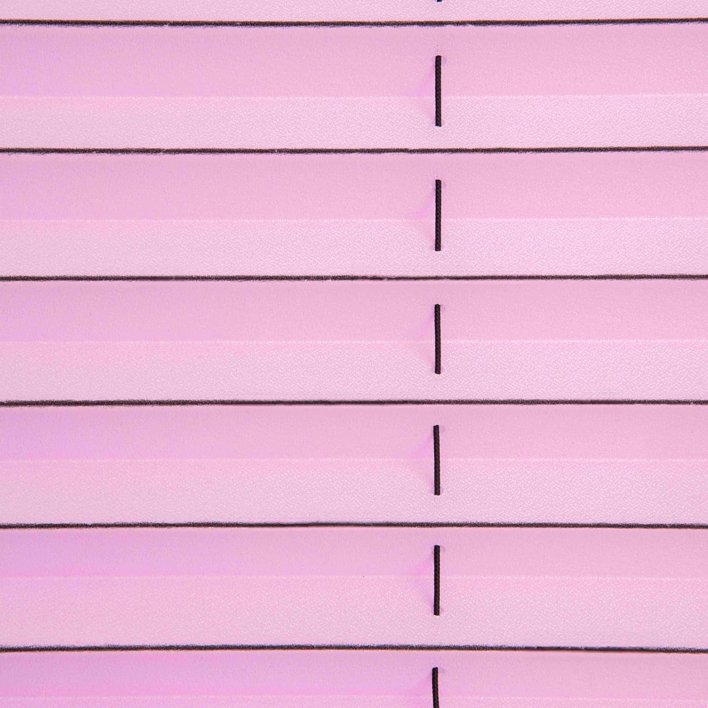 Klemmfix-Plissee mit Lichteffekt, B45 x H130 cm Rose mit Schwarzen Streifen