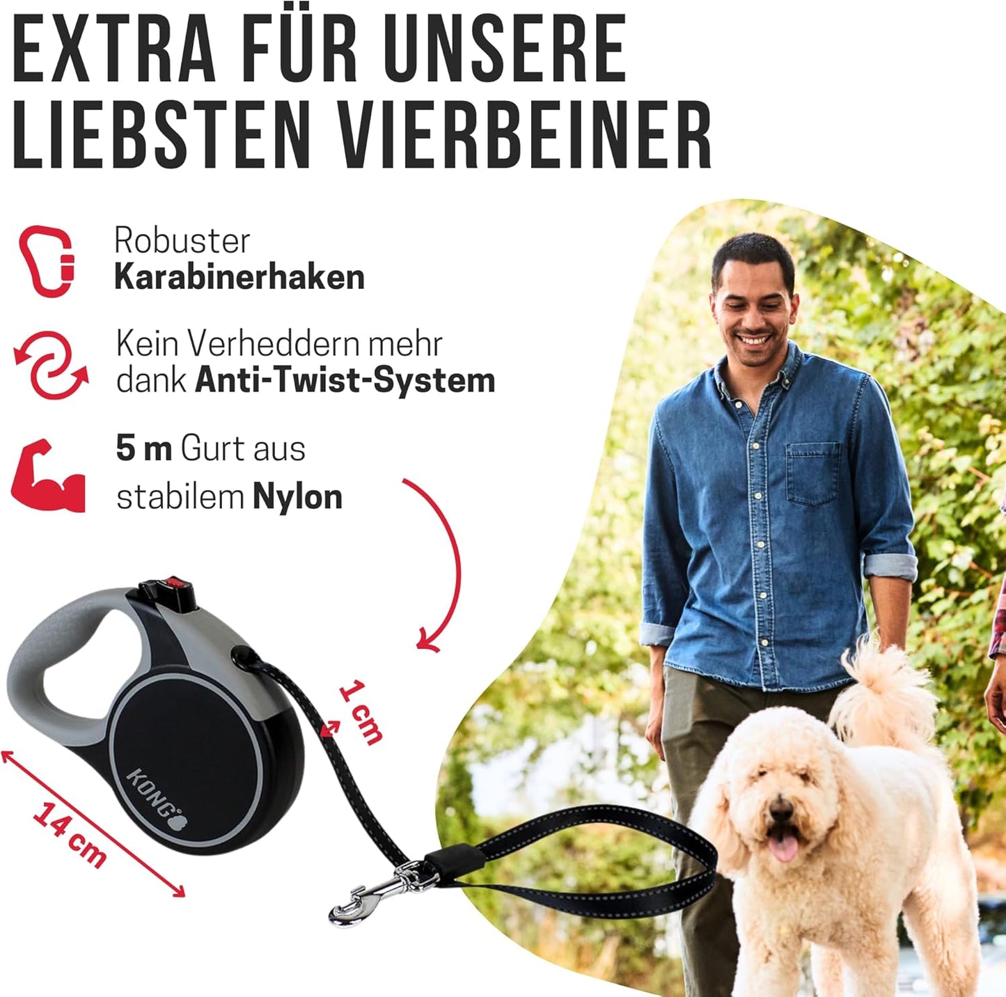 Rolleine Terrain, Terrain mittel grau