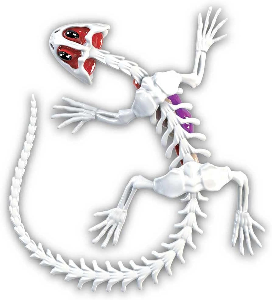 Sezier-Set Salamander, Salamander