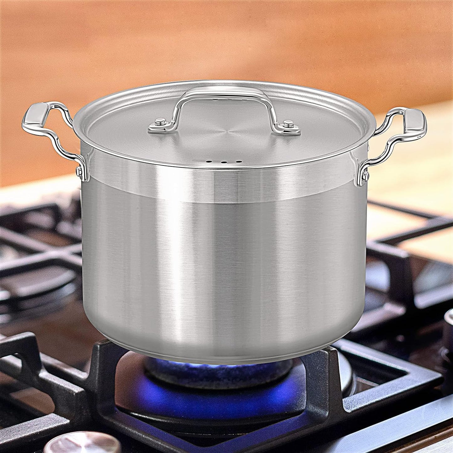 Induktionstopf Edelstahl 8 L mit Deckel, 8 Liter