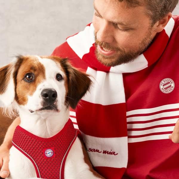 Hilo Comfort Hundegeschirr - FC Bayern, rot M