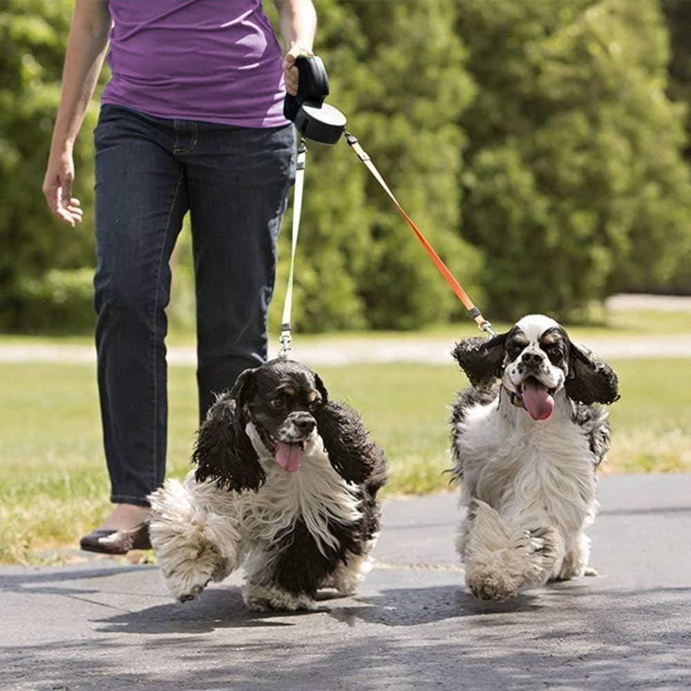 Doppelleine für 2 Hunde