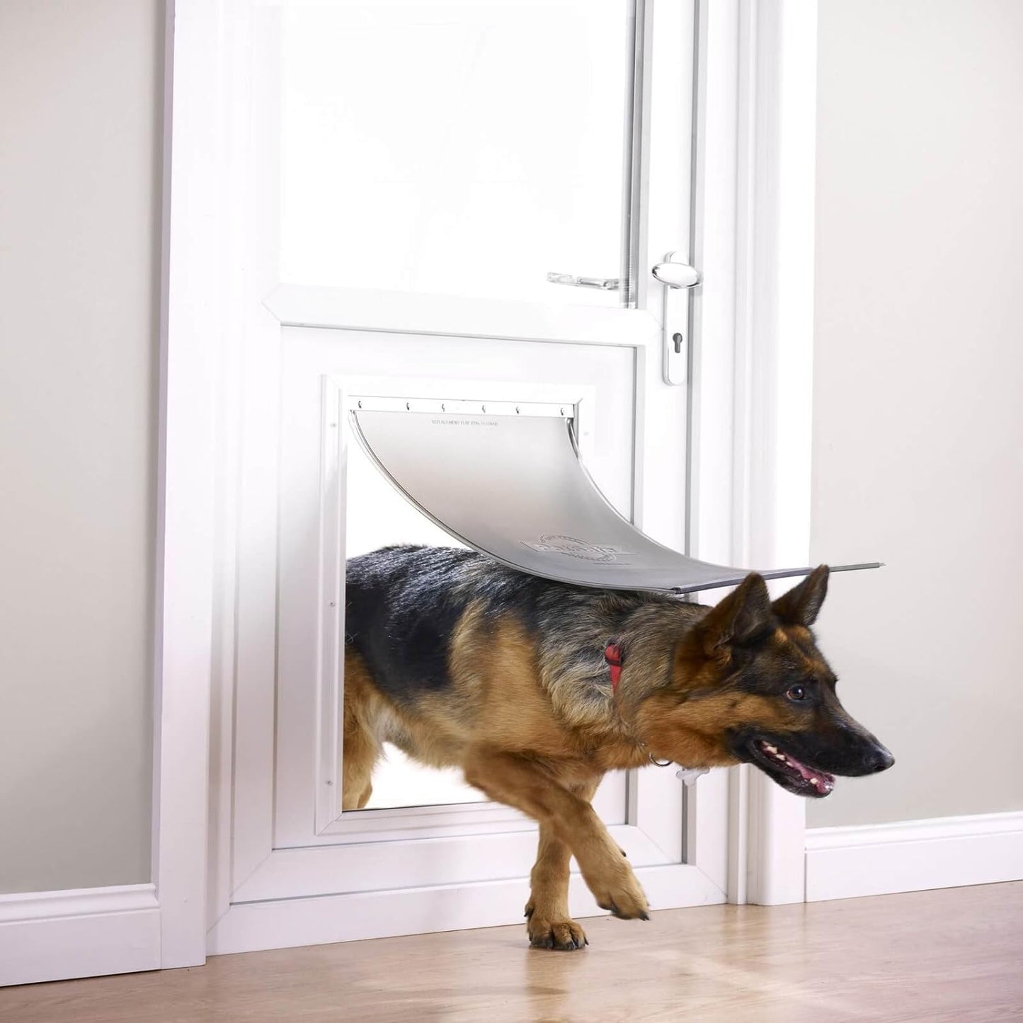 Staywell Hundeklappe, XL