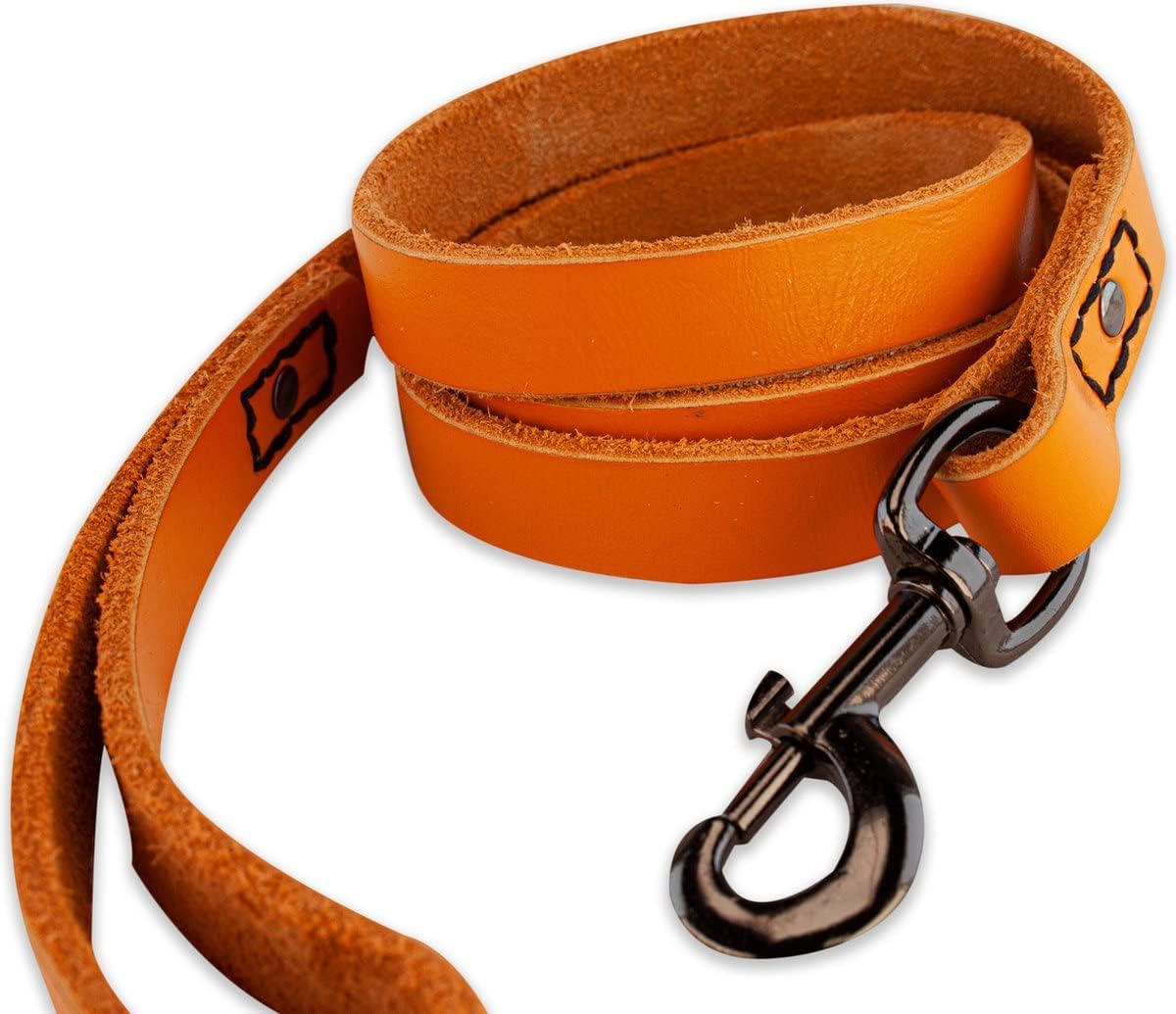 Hundeleine, Orange/Schwarz / 140cm