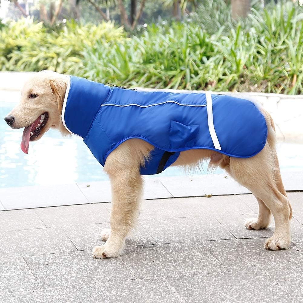 Hundewintermantel, Blau Small(Pack of 1)