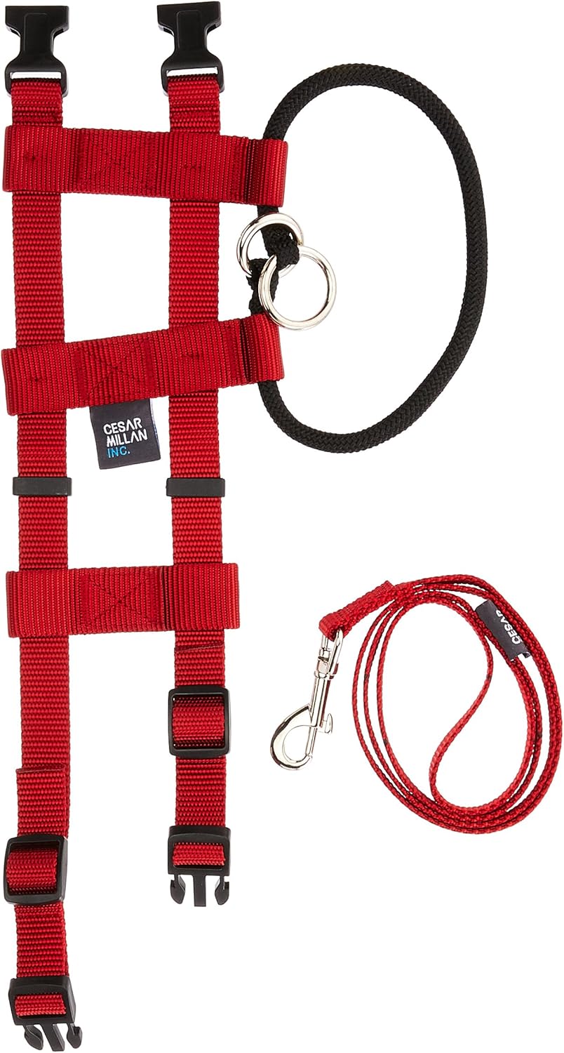 Illusion Trainingshalsband & Leine, S (1er Pack) Small