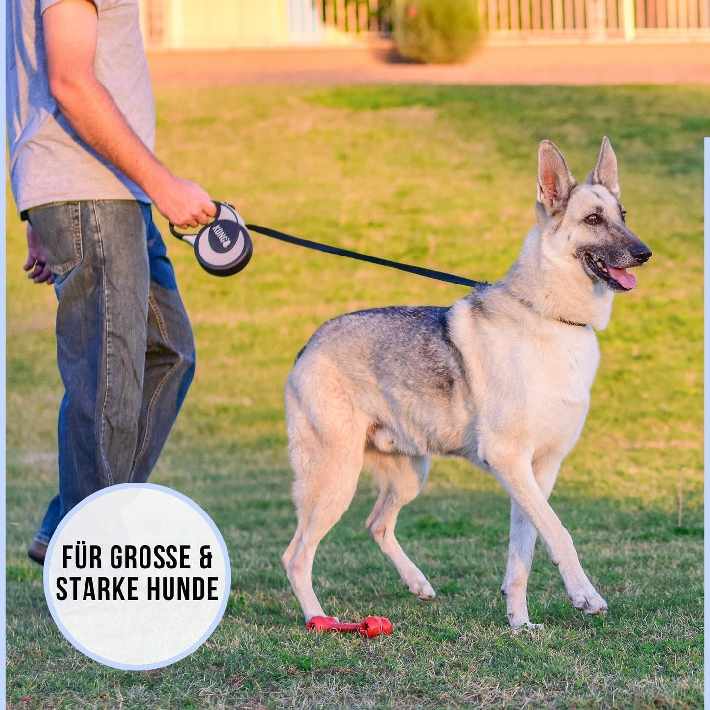5m Rollleine für grosse Hunde, Ultimate XL (bis 70 kg) Grey