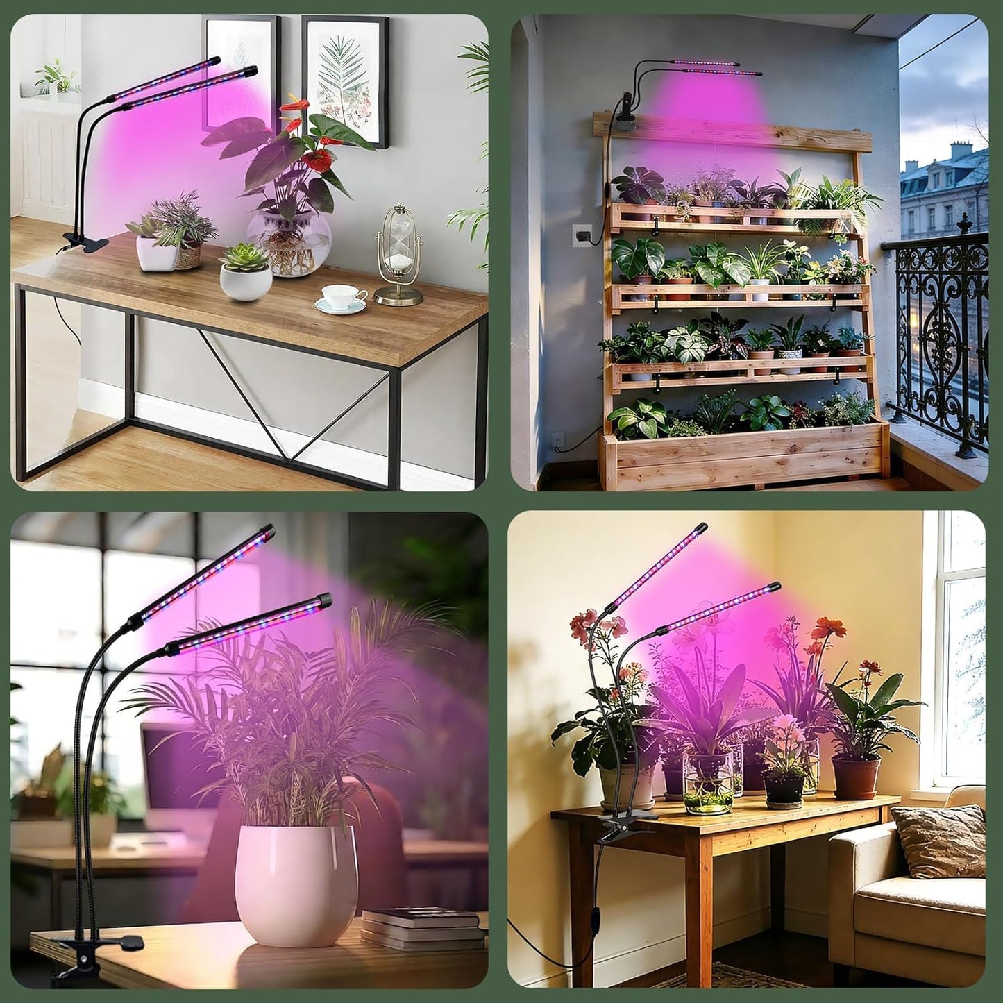 LED Pflanzenlampe Vollspektrum mit Timer & Dimmer, 8 W