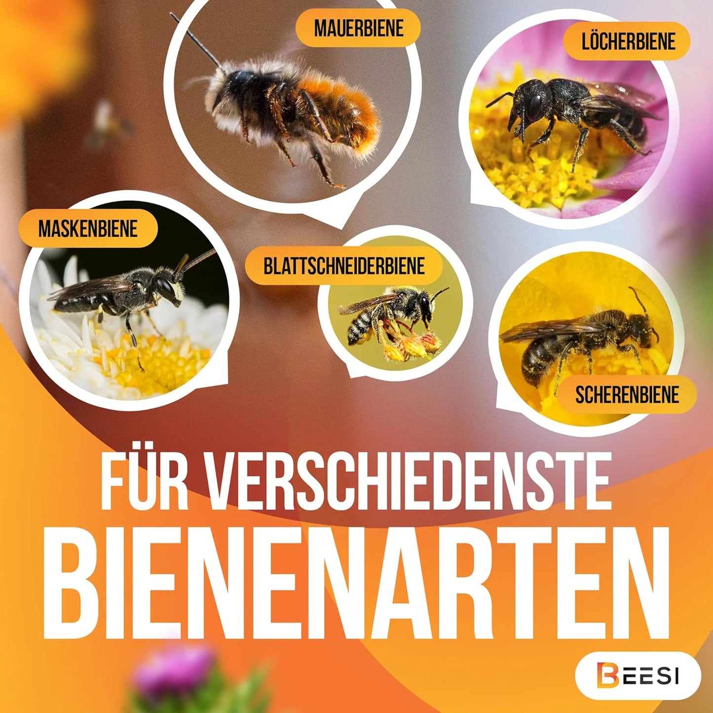 Bambusröhrchen für Insektenhotel, 10 cm Länge 300 Stück
