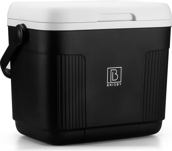Kompakte Kühlbox mit Kühlakkus, 22 Liter - Schwarz