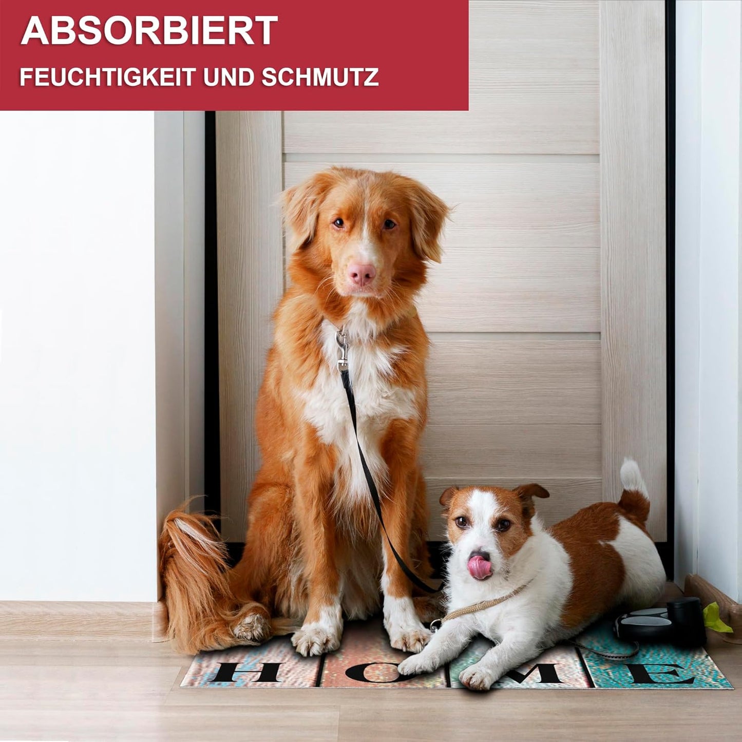 Schmutzfangmatte, Home 6 60 x 80 cm (Rechteckig)