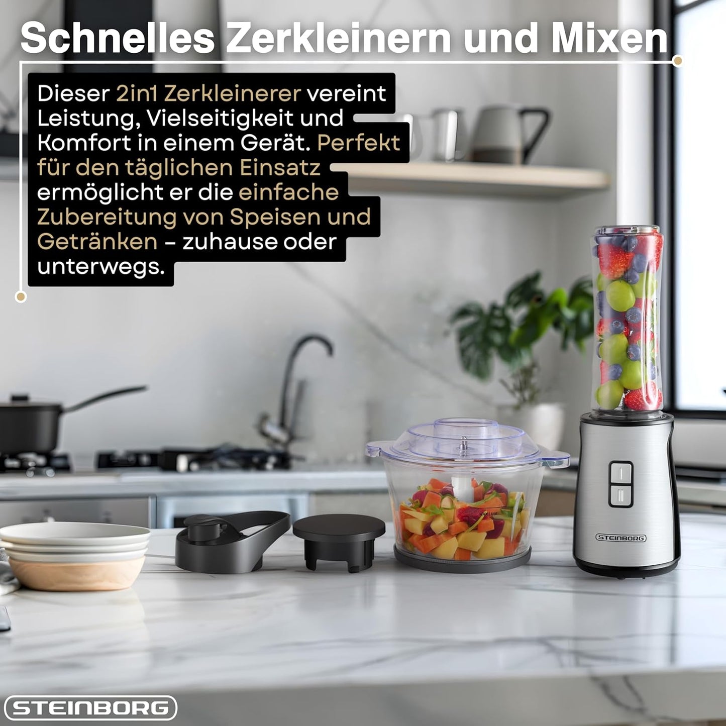 2in1 Standmixer & Multizerkleinerer Set