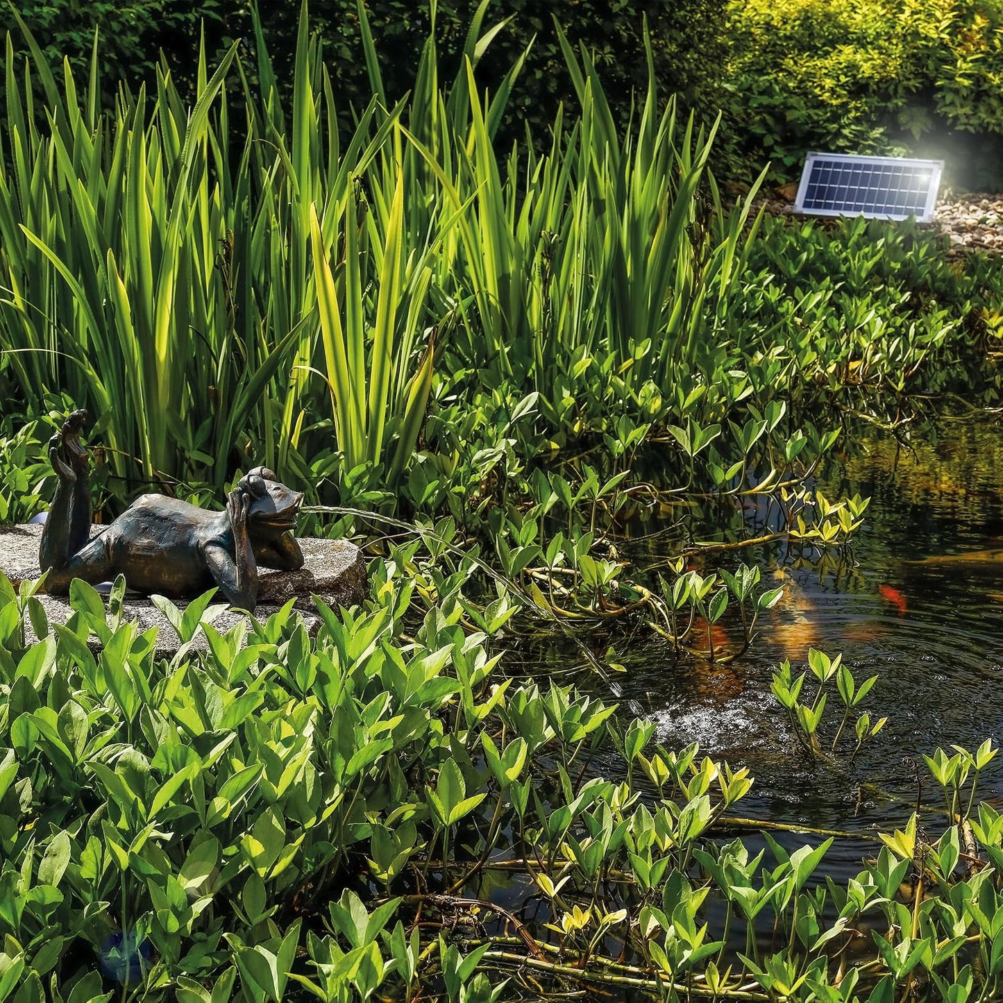 Solar-Wasserspeier Frosch