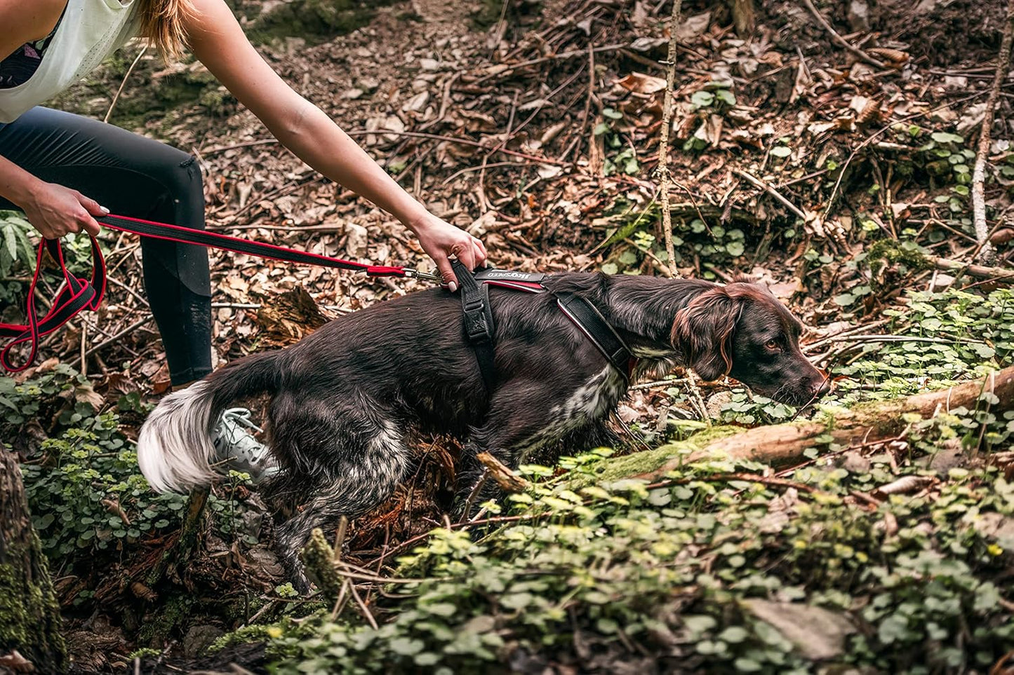 Speed Hundegeschirr, Rot S