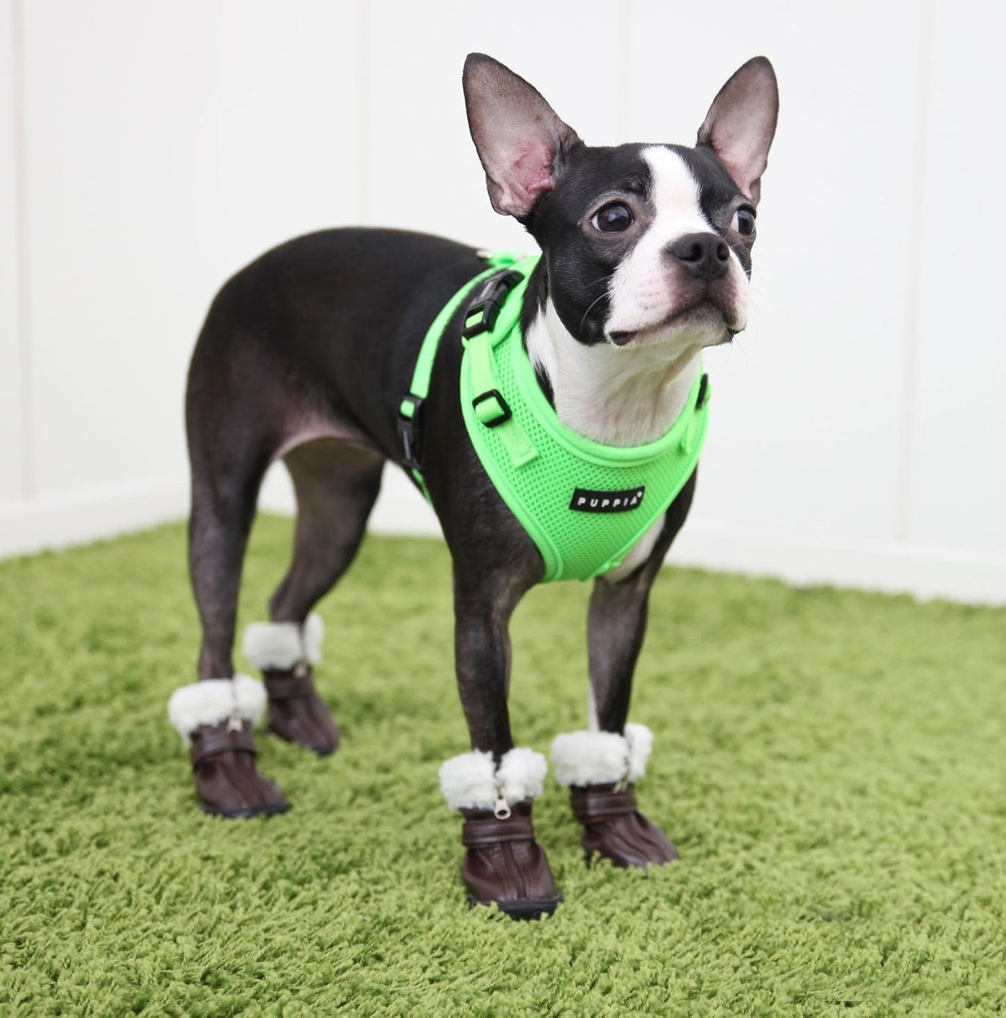 Hundegeschirr, M Grün
