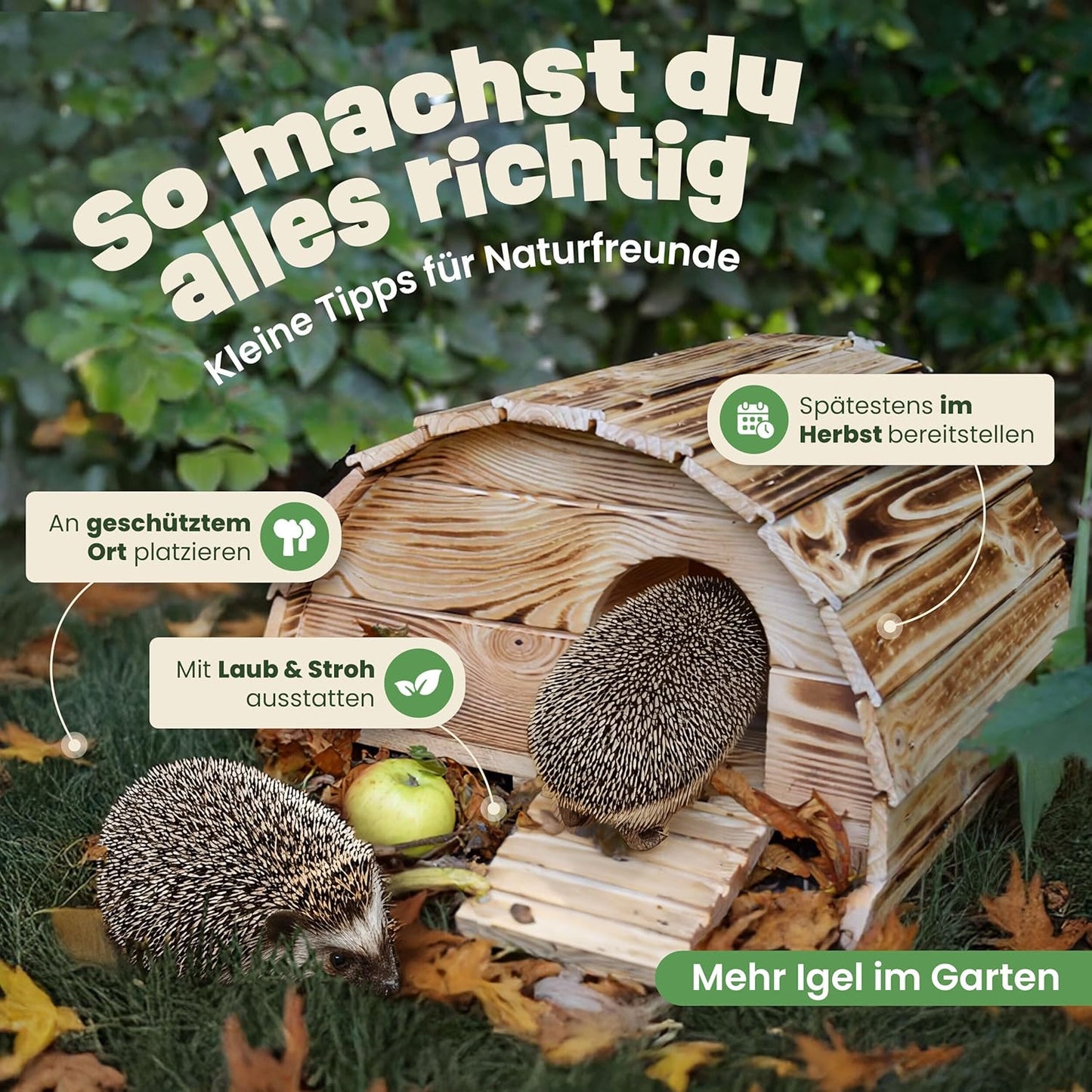 Igelhaus wetterfest mit Labyrinth-Eingang, Braun