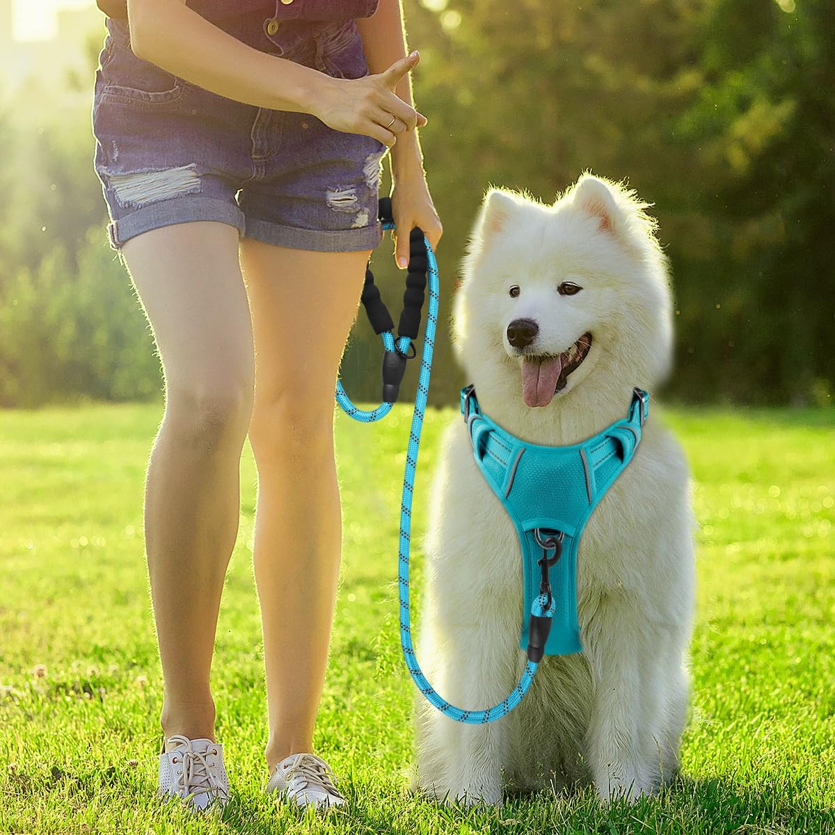 Hundegeschirr, Medium(Chest:22-27") Blau
