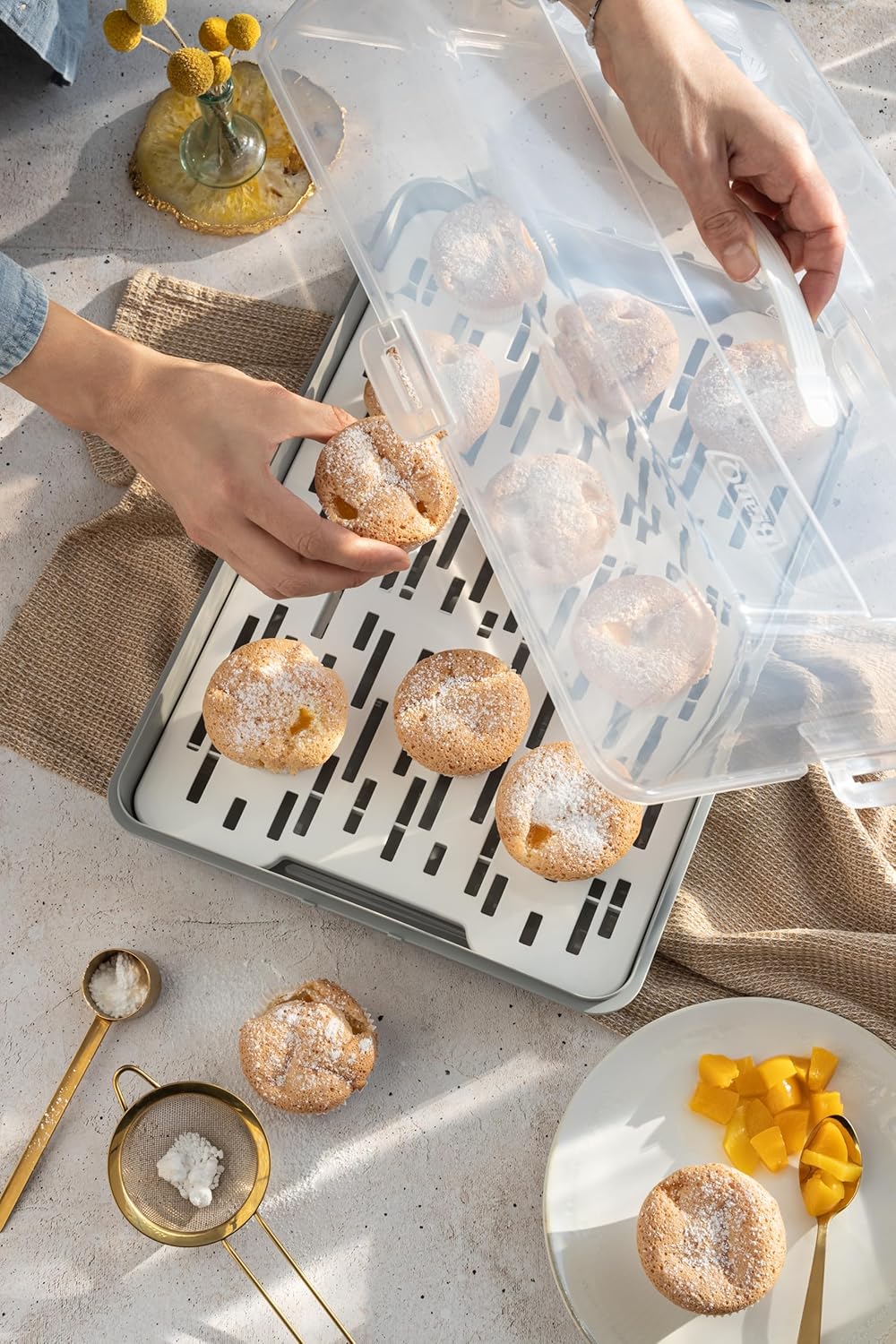 Rechteckiger Kuchenbehälter, rechteckig Grau