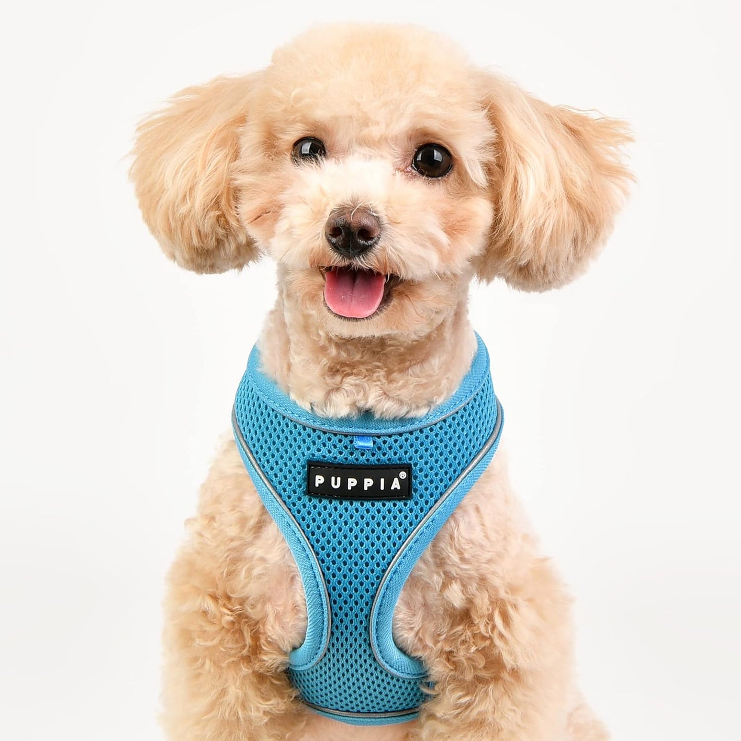 Soft Harness Pro Hundegeschirr, himmelblau Large