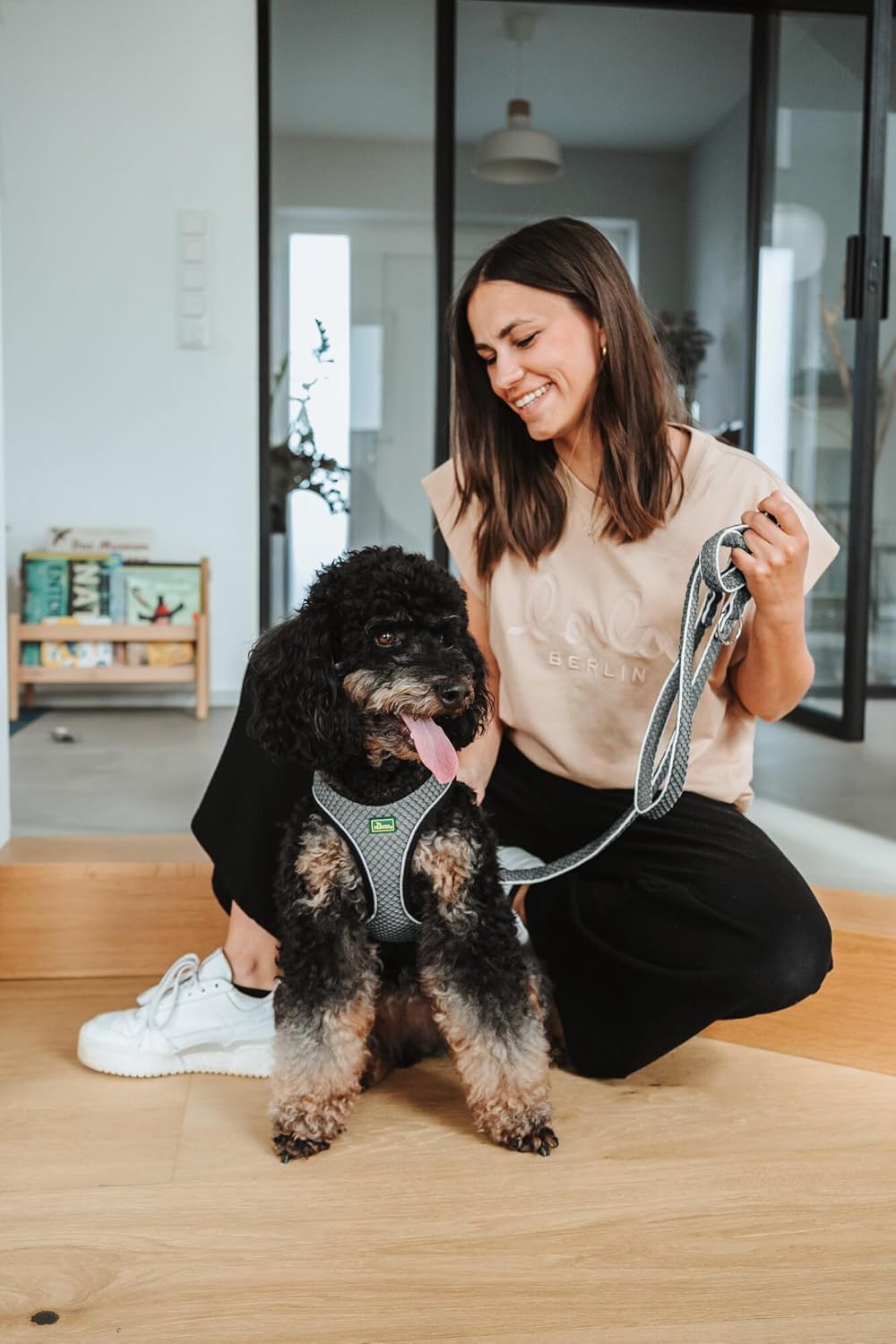 Hundegeschirr Hilo Comfort, anthrazit XXS-XS