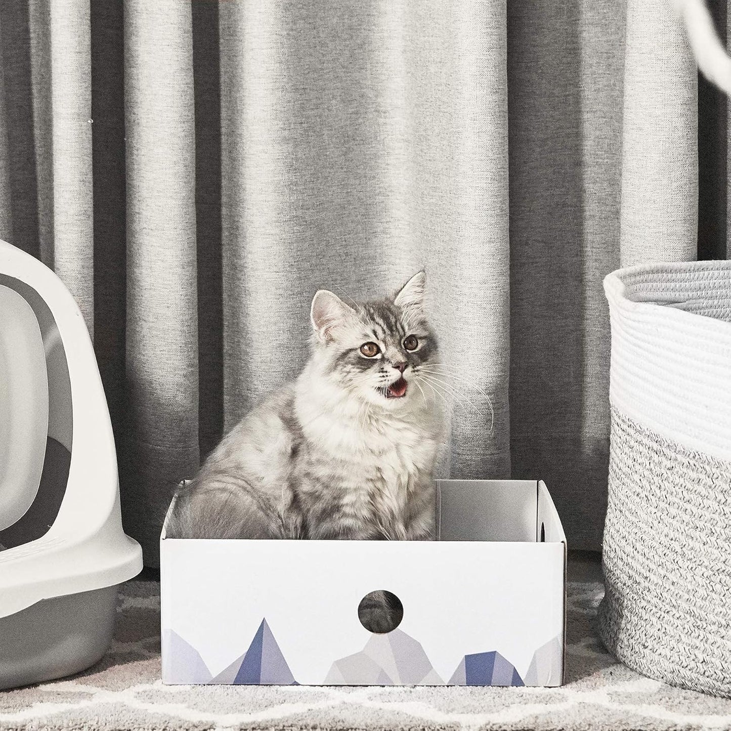 5er-Pack Kratzbrett für Katzen, M-5 Stück Weiss