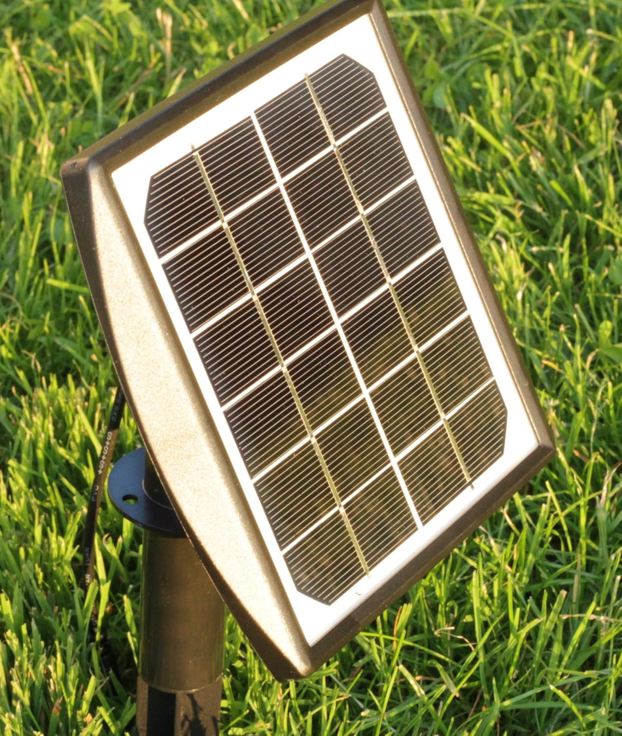Wasserspeier Frosch mit Solarpumpe
