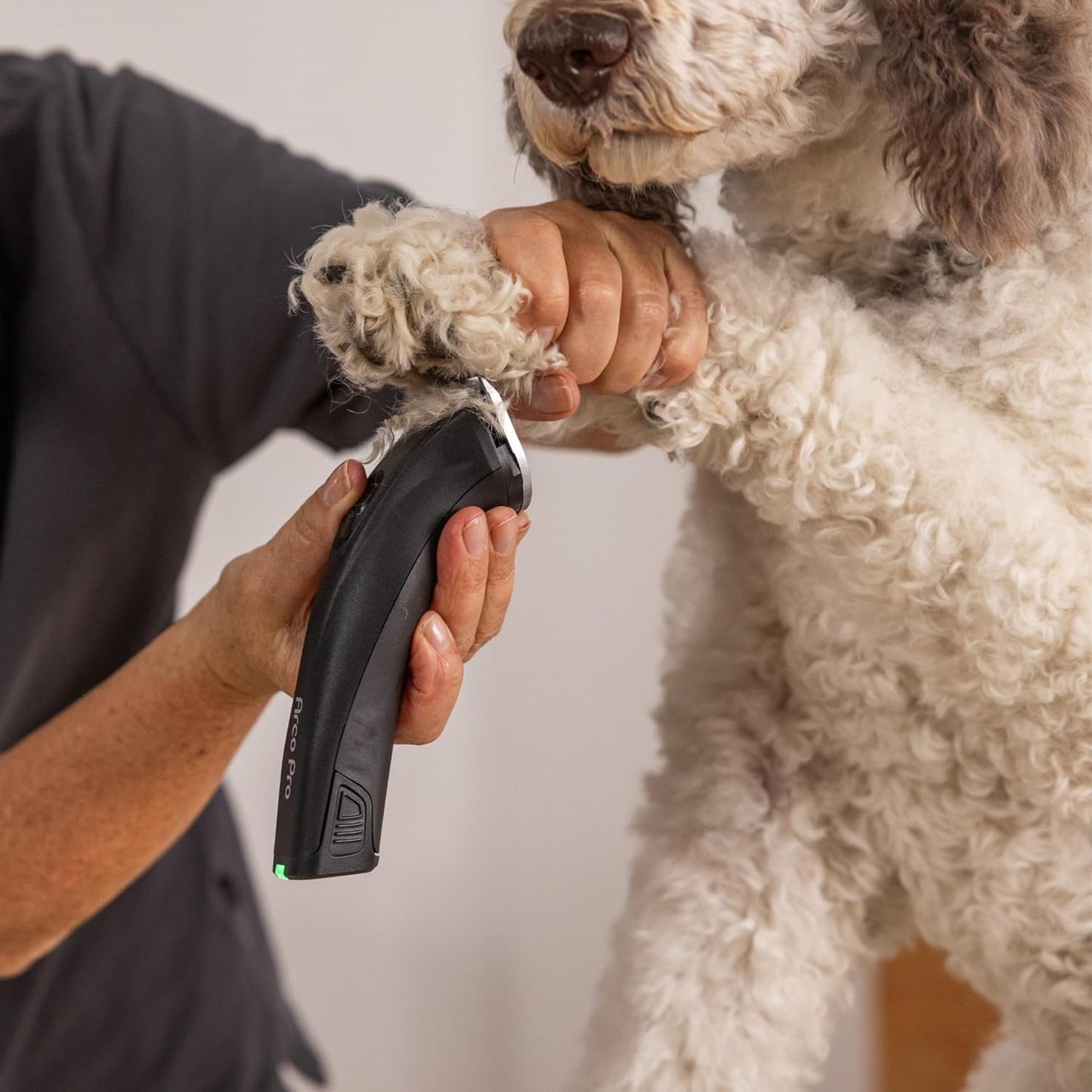 Edition Moser Arco Pro Hundeschermaschine mit Aufsteckkamm Set, 1 Akku