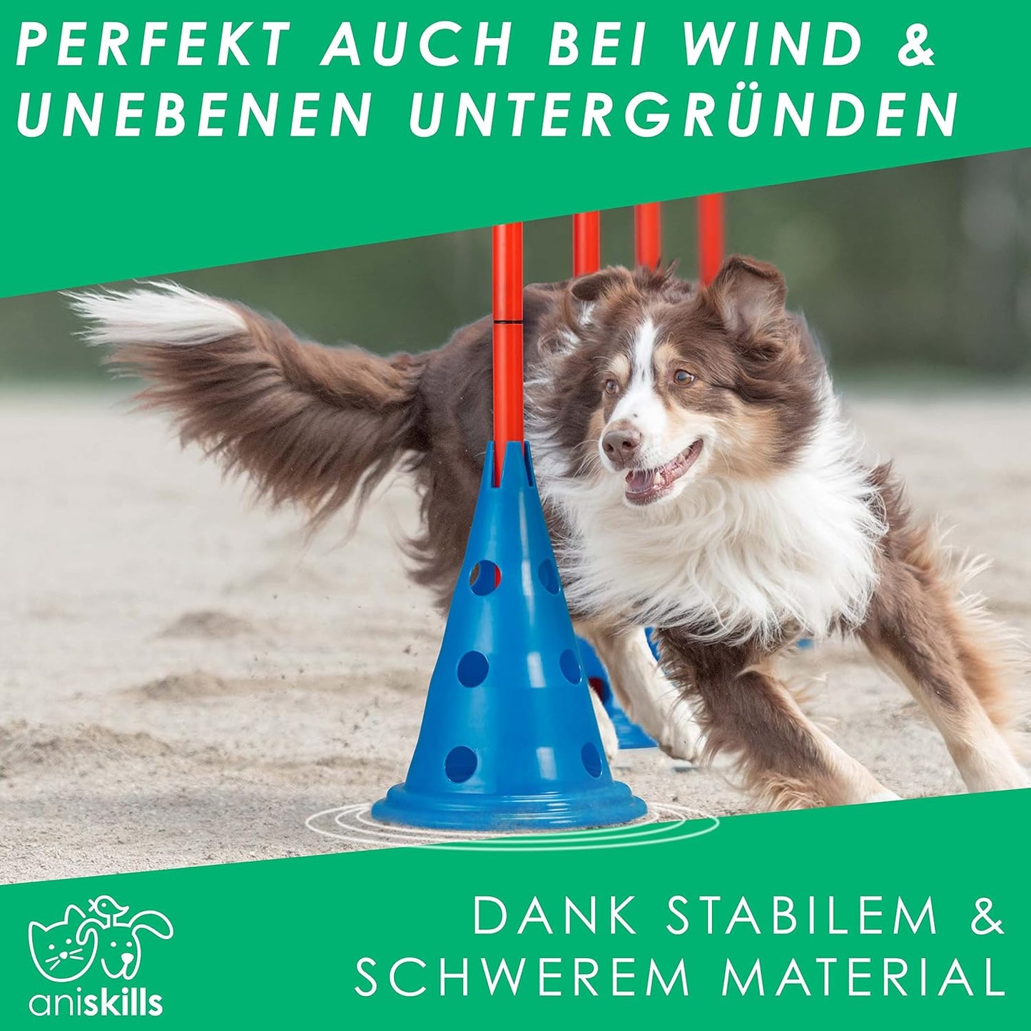 15-teiliges Agility Trainings-Set, 5er Set